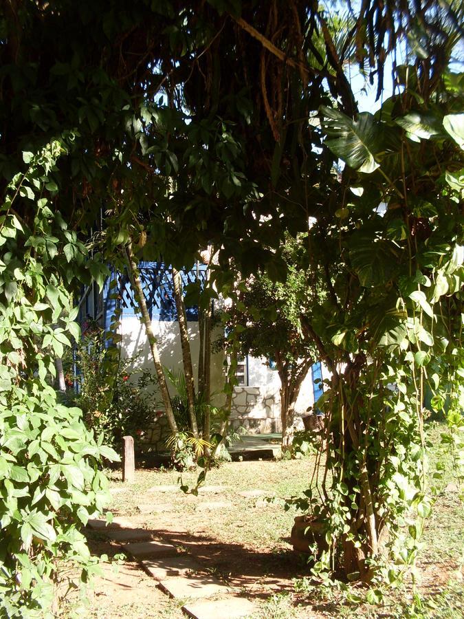 Hotel Fazenda Barra Alegre Sao Jose do Goiabal 外观 照片